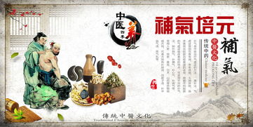 中醫(yī)四季養(yǎng)生藥膳理療進補文化展板設計