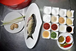 盛夏養(yǎng)陽正當(dāng)時——中醫(yī)視角下的老年人夏季養(yǎng)生保健指南